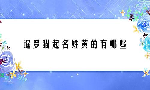 暹罗猫起名姓黄的有哪些