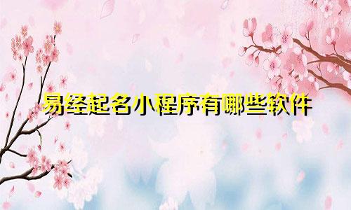 易经起名小程序有哪些软件