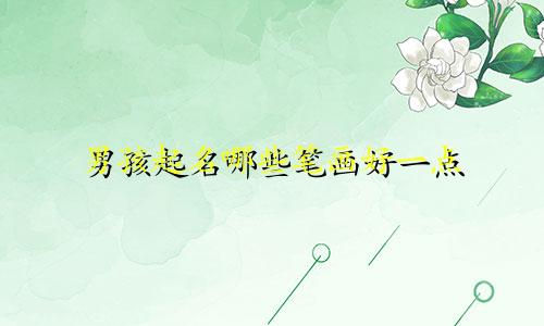 男孩起名哪些笔画好一点