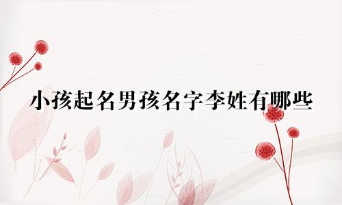 小孩起名男孩名字李姓有哪些