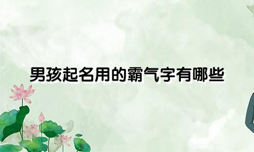 男孩起名用的霸气字有哪些
