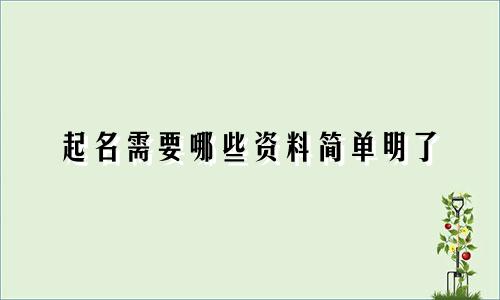 起名需要哪些资料简单明了