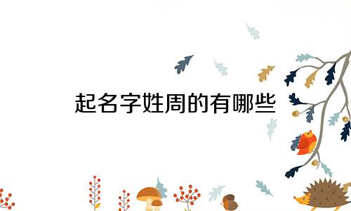 起名字姓周的有哪些