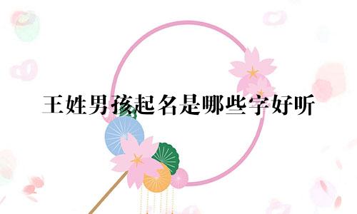 王姓男孩起名是哪些字好听