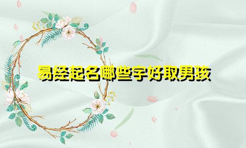 易经起名哪些字好取男孩
