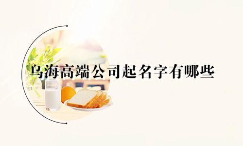 乌海高端公司起名字有哪些