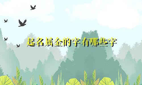 起名属金的字有哪些字