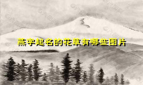 燕字起名的花草有哪些图片