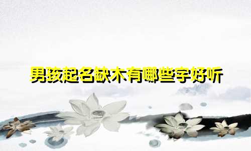 男孩起名缺木有哪些字好听