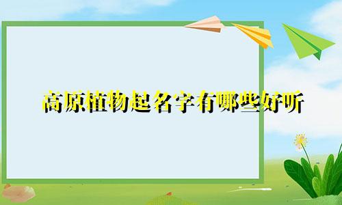 高原植物起名字有哪些好听