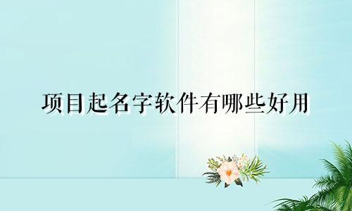 项目起名字软件有哪些好用
