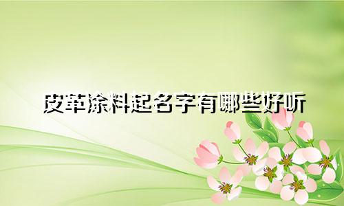 皮革涂料起名字有哪些好听