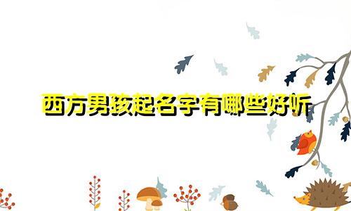 西方男孩起名字有哪些好听