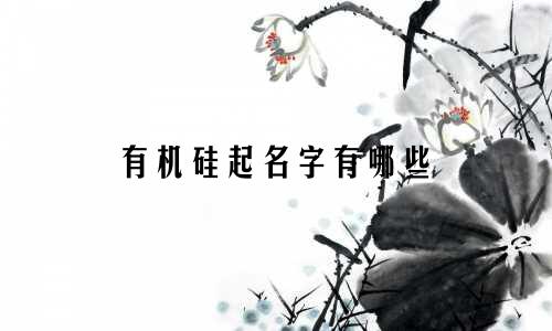 有机硅起名字有哪些