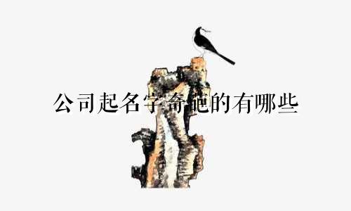 公司起名字奇葩的有哪些