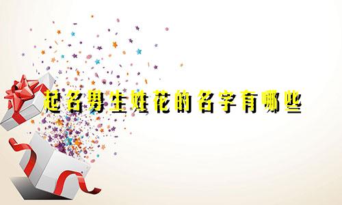 起名男生姓花的名字有哪些