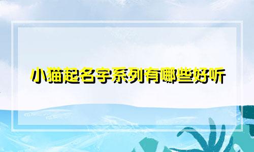小猫起名字系列有哪些好听