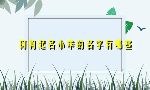 狗狗起名小乖的名字有哪些