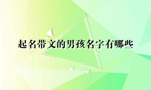 起名带文的男孩名字有哪些