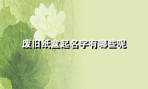 废旧纸盒起名字有哪些呢