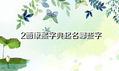 2画康熙字典起名哪些字