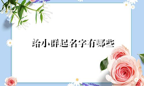 给小群起名字有哪些