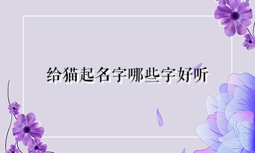 给猫起名字哪些字好听
