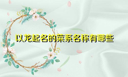 以龙起名的菜系名称有哪些