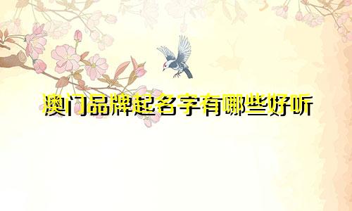 澳门品牌起名字有哪些好听