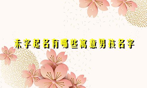 禾字起名有哪些寓意男孩名字