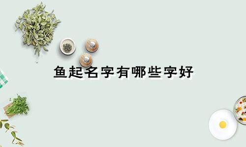 鱼起名字有哪些字好
