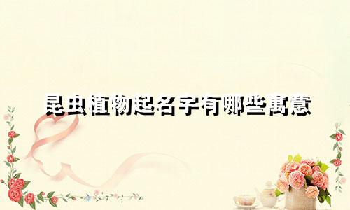 昆虫植物起名字有哪些寓意