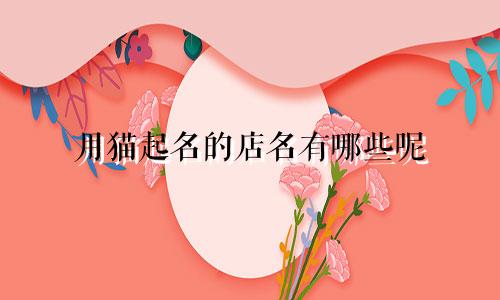 用猫起名的店名有哪些呢