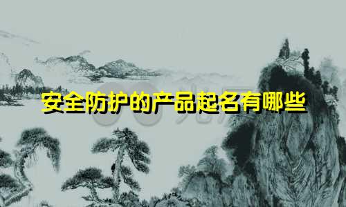 安全防护的产品起名有哪些