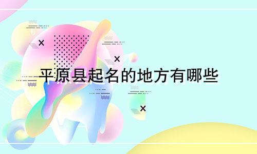 平原县起名的地方有哪些
