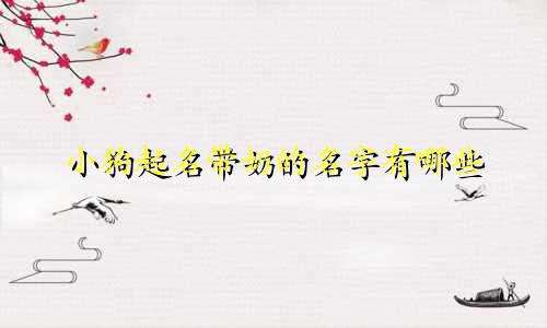 小狗起名带奶的名字有哪些
