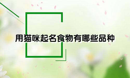 用猫咪起名食物有哪些品种