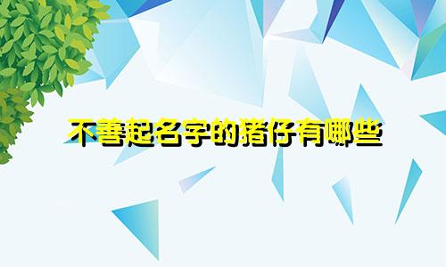 不善起名字的猪仔有哪些