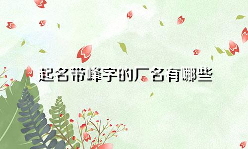 起名带峰字的厂名有哪些