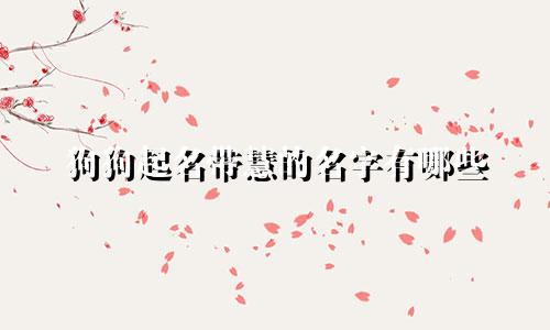 狗狗起名带慧的名字有哪些