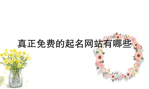 真正免费的起名网站有哪些