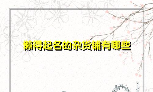 懒得起名的杂货铺有哪些