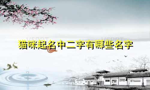 猫咪起名中二字有哪些名字