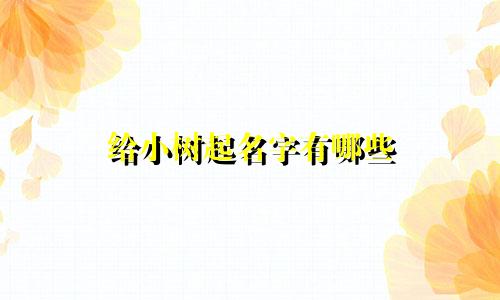给小树起名字有哪些