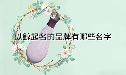 以鲸起名的品牌有哪些名字
