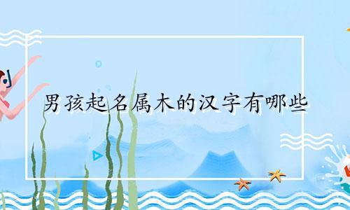 男孩起名属木的汉字有哪些