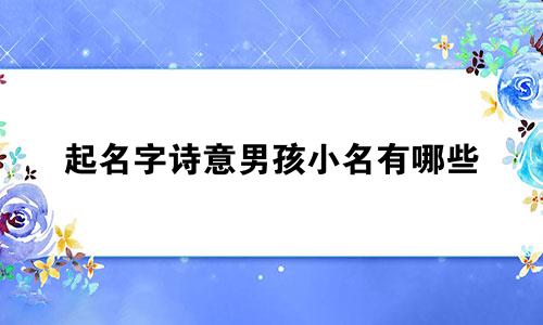 起名字诗意男孩小名有哪些