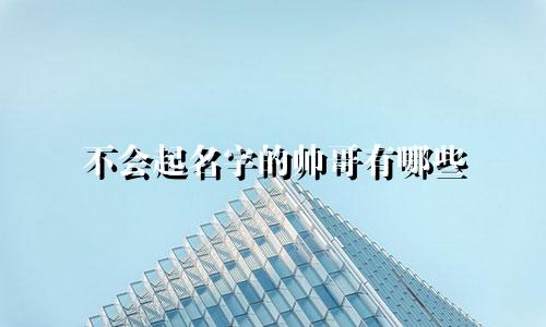 不会起名字的帅哥有哪些