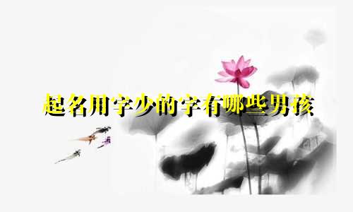 起名用字少的字有哪些男孩