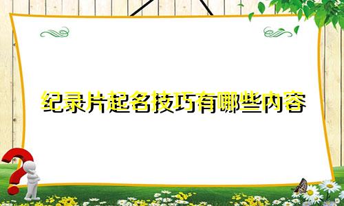 纪录片起名技巧有哪些内容